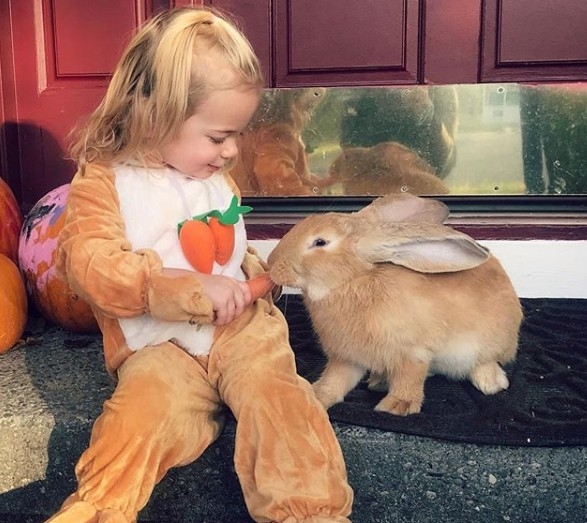 Dev Tavşan İle Küçük Kızın Dostluğu Görenlerin Yüzünü Güldürüyor