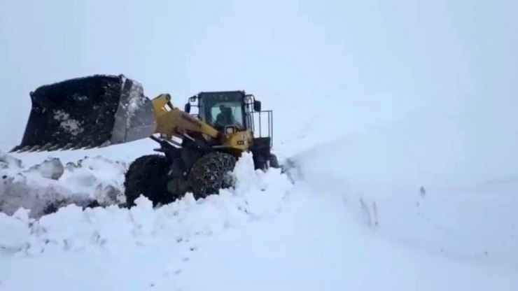 Siirt’te Kardan Kapanan Yollar Ulaşıma Açıldı