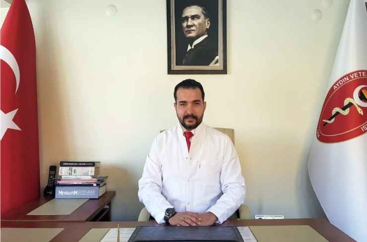 Mardin’de Hekimlerin Köpeğe Katarkt Ameliyatı Yapmasına Aydın’dan Tepki