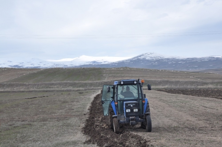 Kars’ta Çiftçilerin Tarla Sürümü Başladı