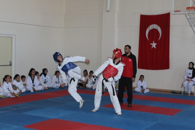 Gençlik Haftası Taekwondo Turnuvası Yapıldı