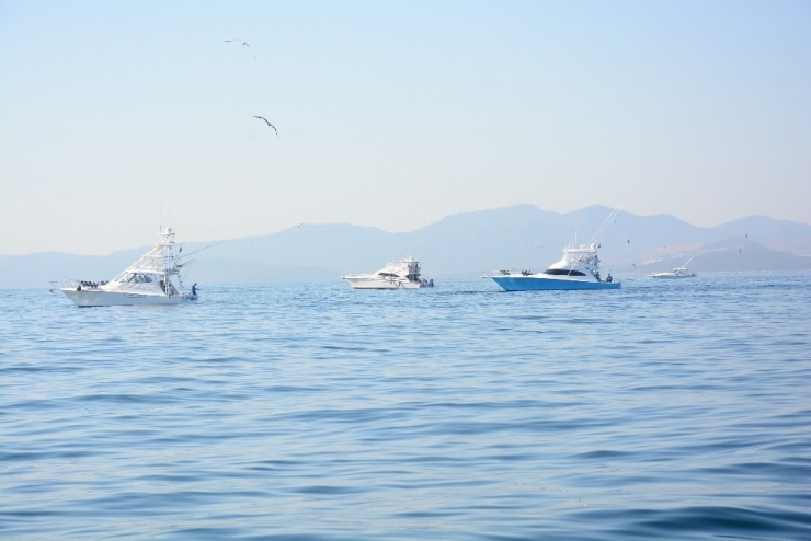 Didim, Açık Deniz Sportif Balık Avı Yarışmasına Ev Sahipliği Yapacak