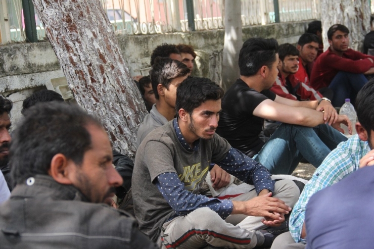 Adana’da 57 Kaçak Göçmen Yakalandı