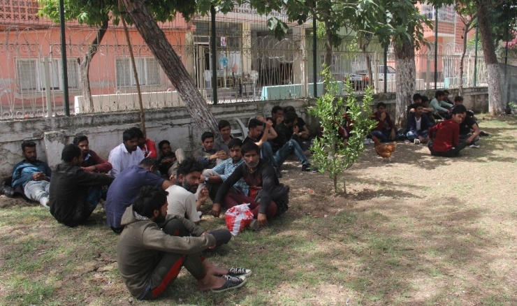 Adana’da 57 Kaçak Göçmen Yakalandı