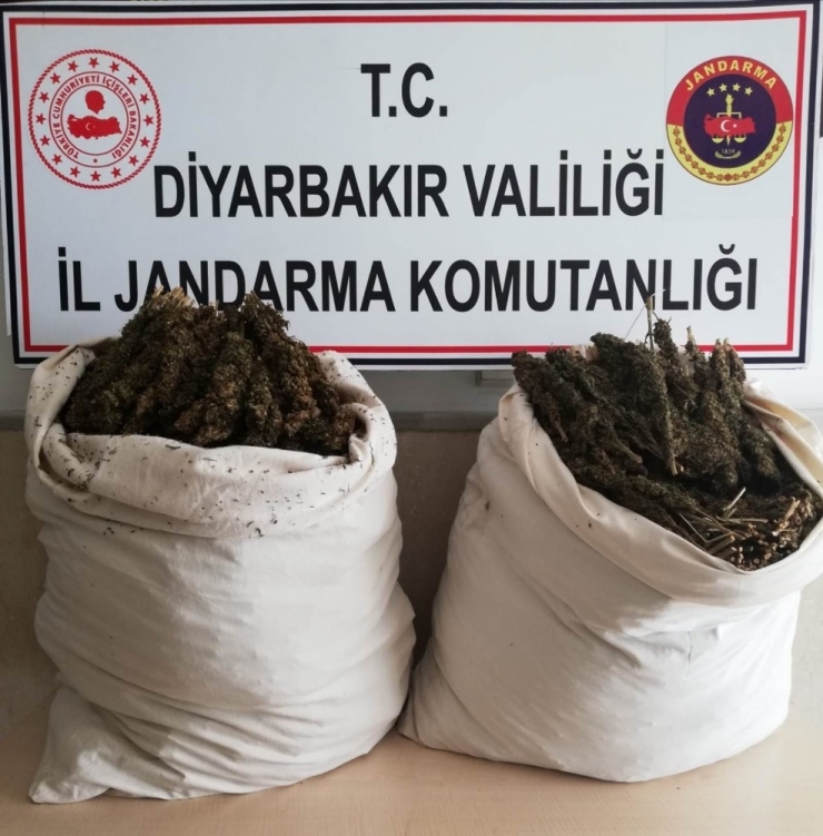Diyarbakır’da 47 Kilo 100 Gram Esrar Ele Geçirildi