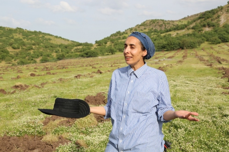 Kadın Girişimci Türkiye’nin En Büyük İpek Böceği Üretimi İçin Dut Bahçesi Kurdu