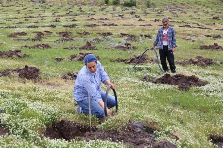 Kadın Girişimci Türkiye’nin En Büyük İpek Böceği Üretimi İçin Dut Bahçesi Kurdu