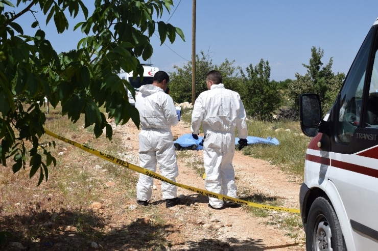 Malatya’da Cinayet: Polis Memuru Ve Annesi Öldü