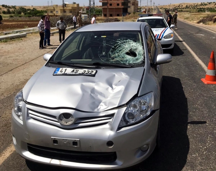 Midyat’ta Trafik Kazası: 1 Yaralı