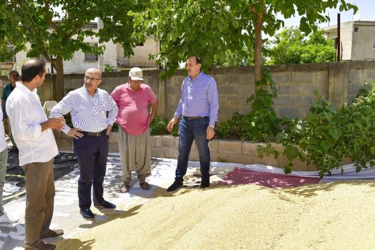 Adana’da Tarımsal Ürün Çeşitliliği Artıyor