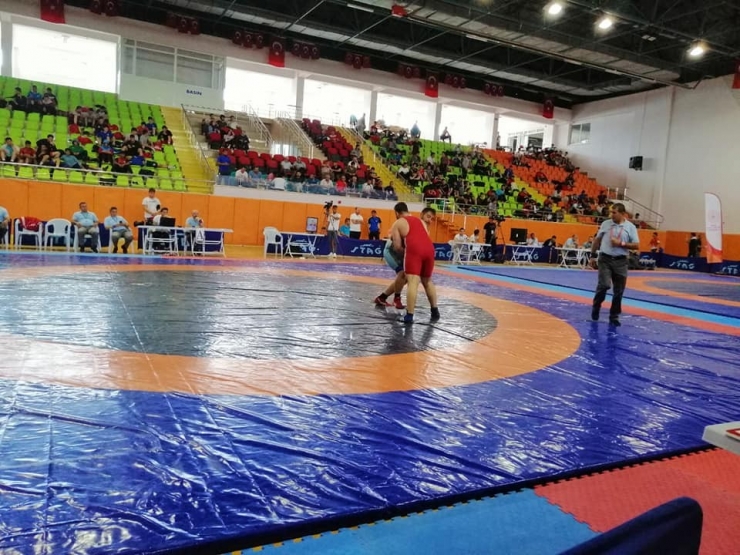 Güreş Türkiye Şampiyonası Elazığ’da Başladı