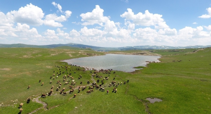 Erzurum Büyükşehir Belediyesi’nden Gölet Rekoru