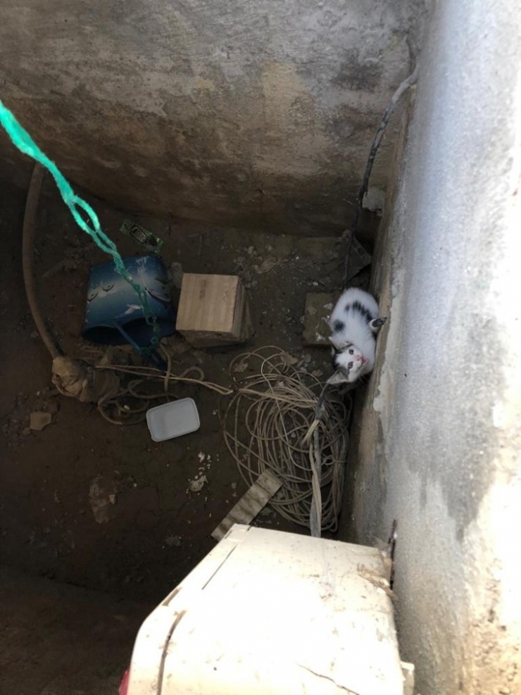 Burhaniye’de Su Deposuna Düşen Kediyi İtfaiye Kurtardı