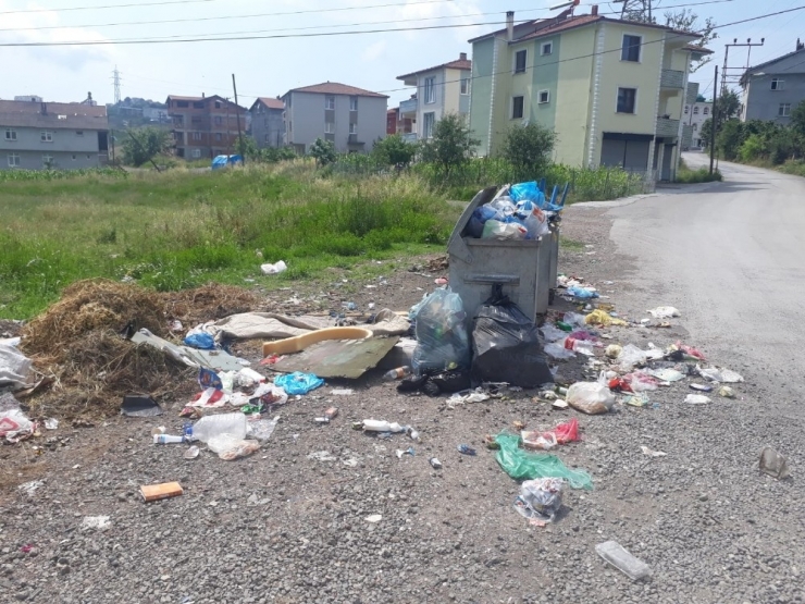 Mahalleli Çöplerin Alınmamasından Şikayetçi