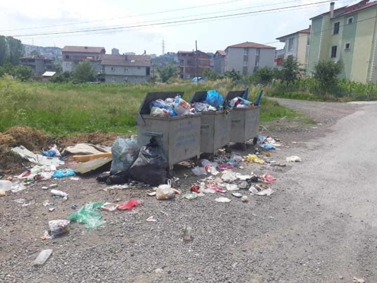 Mahalleli Çöplerin Alınmamasından Şikayetçi