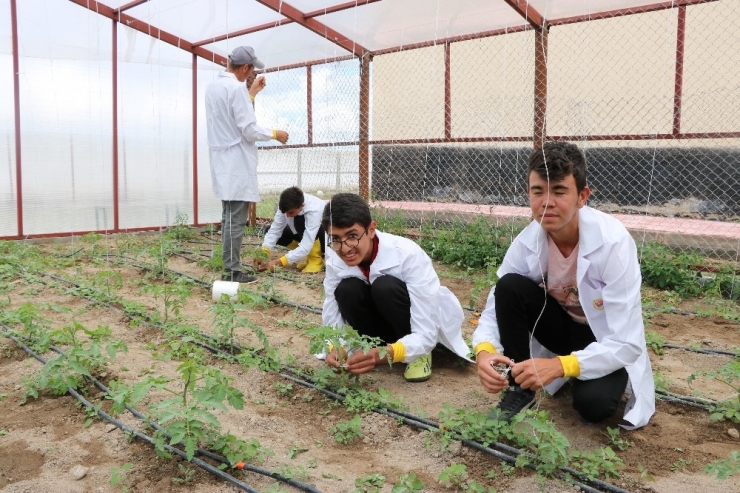 Tarım Lisesi Öğrencileri, Çiftçi Oluyor