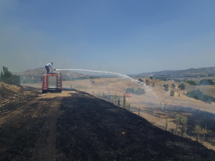 Bingöl’de Ormanlık Alanda Çıkan Yangın Söndürüldü