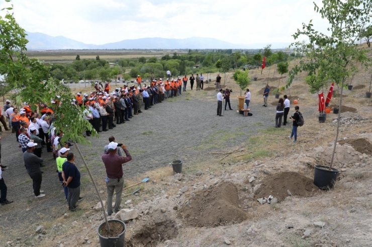 Erzincan’da 251 Şehit Anısına 251 Adet Fidan Toprakla Buluştu