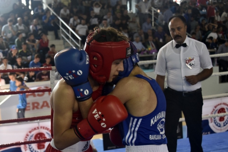 Üst Minikler Türkiye Ferdi Boks Şampiyonası Gümüşhane’de Başladı
