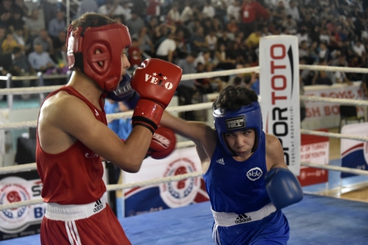 Üst Minikler Türkiye Ferdi Boks Şampiyonası Gümüşhane’de Başladı