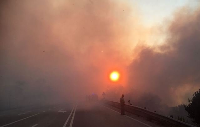 Portekiz’de Orman Yangınları: 8 Yaralı