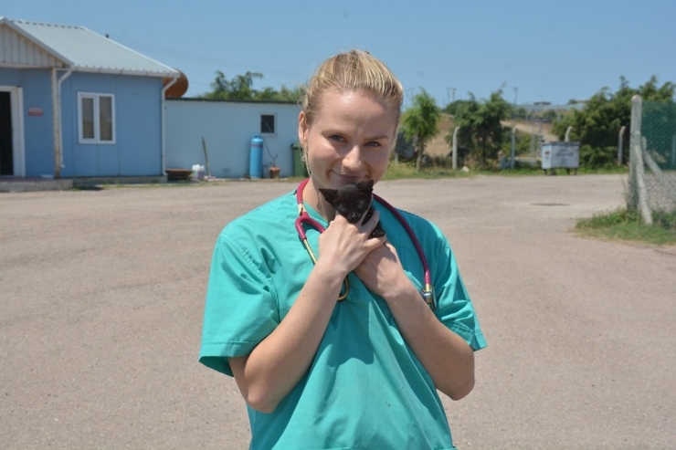 ’Finlandiyalı Heidi’ Sokak Hayvanlarının Bakım Ve Tedavilerini Yapıyor