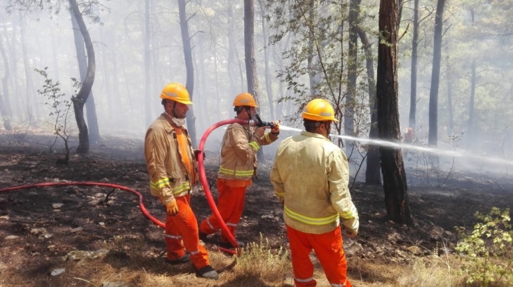 Kumluca’da Orman Yangını