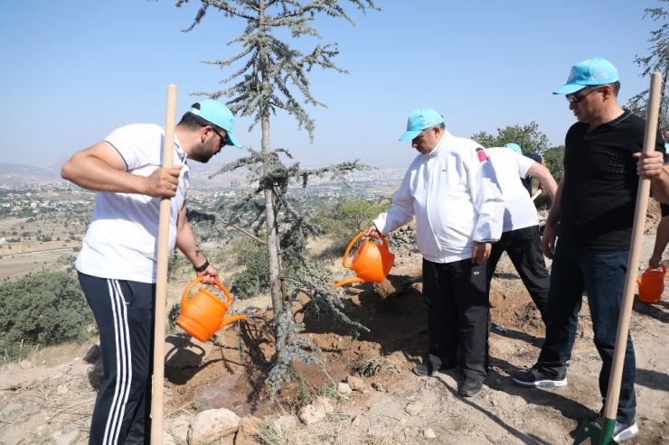 Talas Belediye Meclis Üyeleri Ali Dağı’nda Fidan Dikti