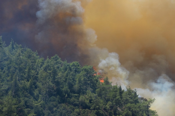 Orman Genel Müdür Yardımcısı Mehmet Çelik Yangınların Çıkışı Hakkında Konuştu;