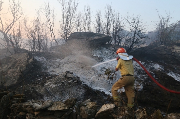 Muğla Yatağan’da Yangın, Ziraat Arazisinde Çıkan Yangında Maddi Hasar Oluştu