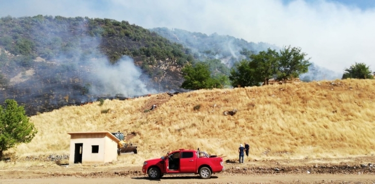 Bingöl’de Orman Yangını Söndürüldü