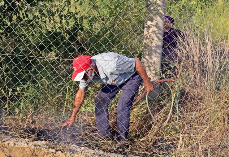 Antalya’da Seraları Tehdit Eden Sazlık Yangını Korkuttu