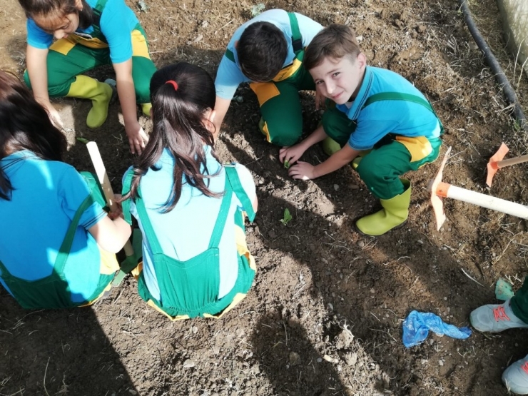 Burunkaya Şehit Emral Kartal İlkokulu’nda Minik Eller Üretiyor
