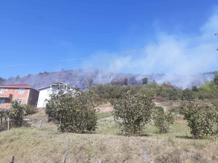 Kastamonu’da Ormanlık Alanda Yangın Çıktı