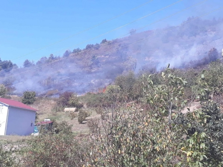 Kastamonu’da Ormanlık Alanda Yangın Çıktı
