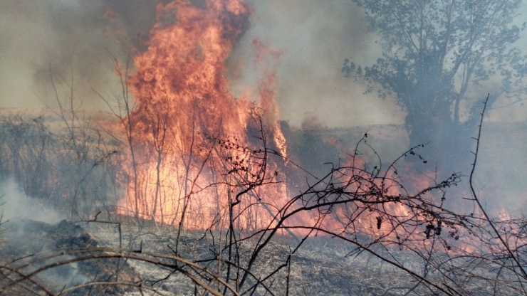 Tekirdağ’da Orman Yangını: Helikopter, Arazöz Ve İtfaiyeler Müdahale Ediyor