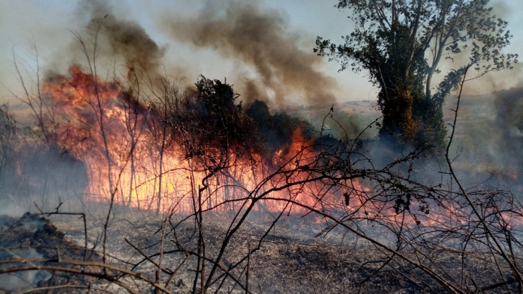 Tekirdağ’da Orman Yangını: Helikopter, Arazöz Ve İtfaiyeler Müdahale Ediyor