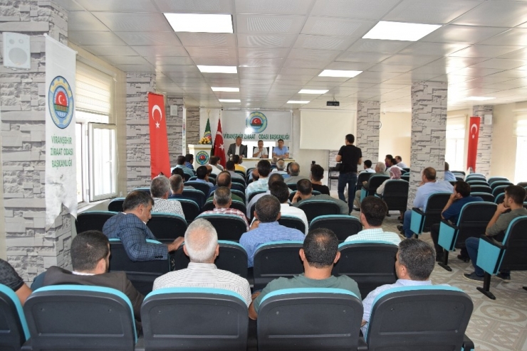 Yemyeşil Urfa Projesi İçin Viranşehir’de Toplantı Düzenlendi