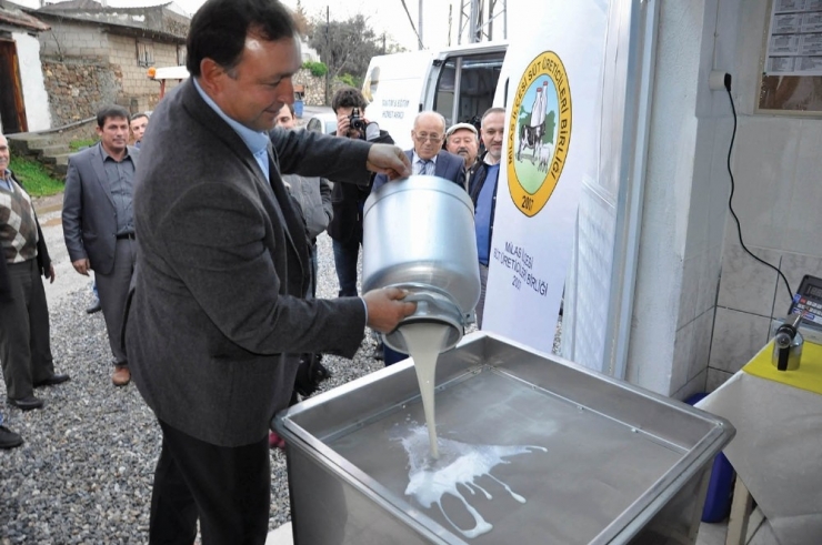 Milas Süt Birliği Başkanı Gezgin; “Çiğ Süt Referans Fiyatı Üreticimize Nefes Aldıracak”
