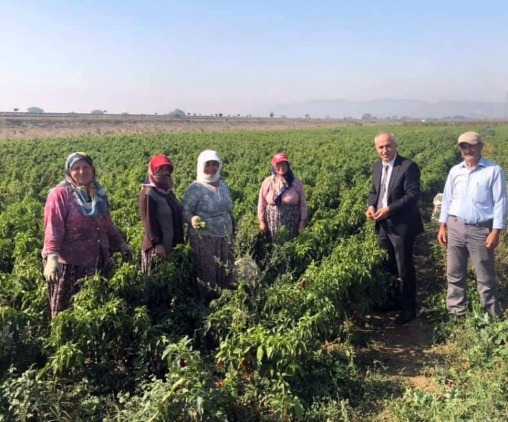 Başkan Aydın’dan Çiftçi Kadınlara Sürpriz Ziyaret