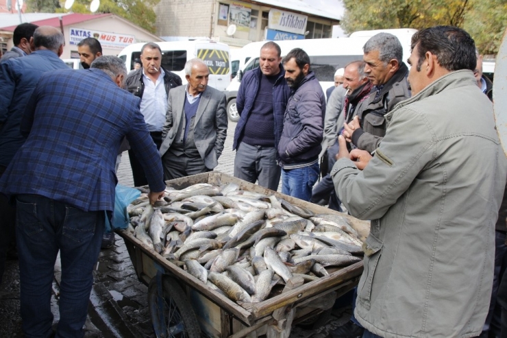Varto’da Balıkçılar Sezonu Açtı