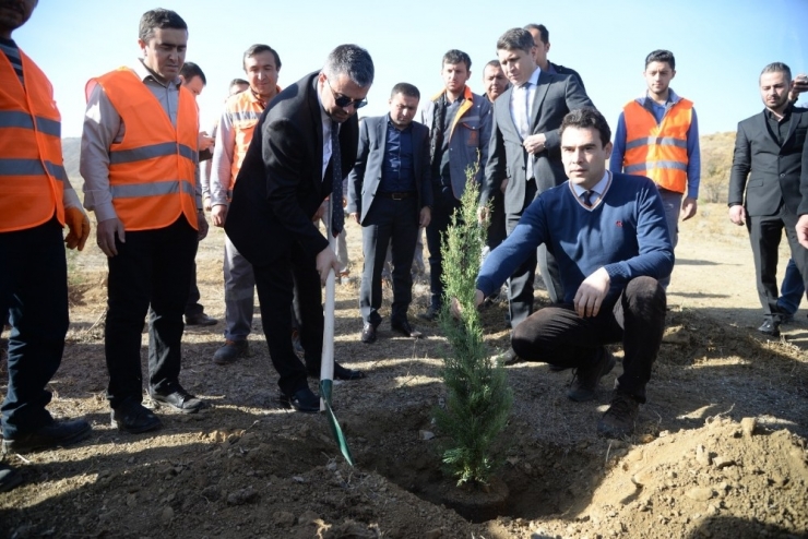 Başkan Çetin, Pursaklar’da Ağaç Dikti
