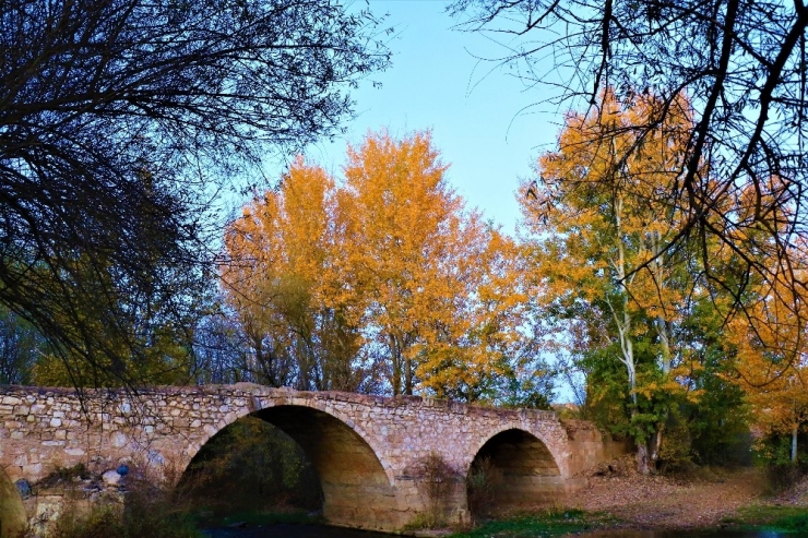 Osmanlı Kervanlarını Taşıyan Tarihi Köprü Dimdik Ayakta