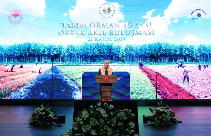 Cumhurbaşkanı Erdoğan: “Gıda Güvenliği Milli Güvenlik Meselesi Haline Geldi”