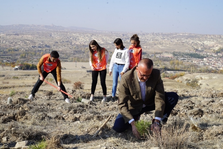 Greenmetric’te Kapadokya Üniversitesi Büyük Başarı Elde Etti
