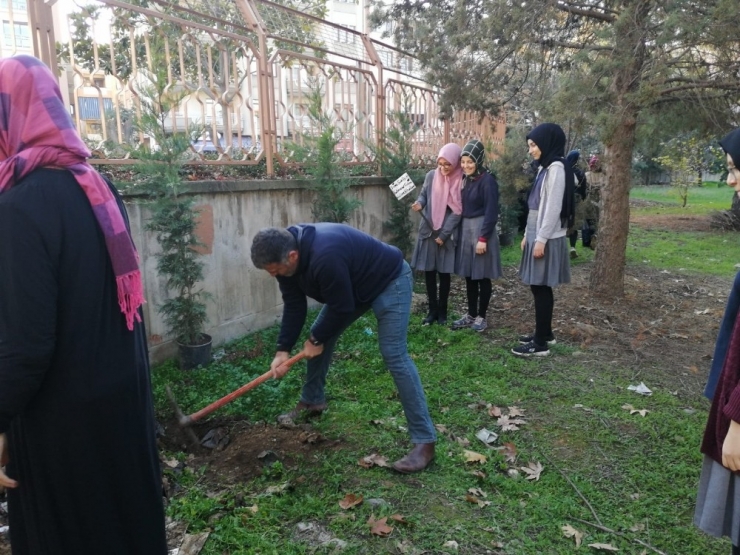 Gönüllü Öğrenciler Okul Bahçesine Ağaç Dikti