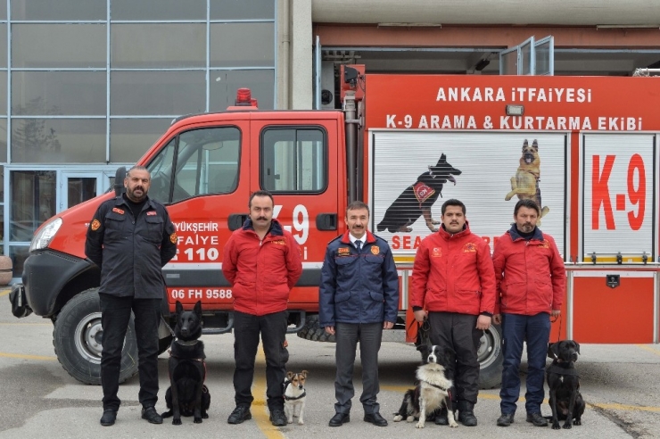 Ankara İtfaiyesi K-9 Köpekleri Artık Lisanslı