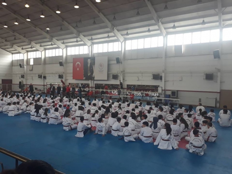 Emetborspor’un Taekwondo Başarısı