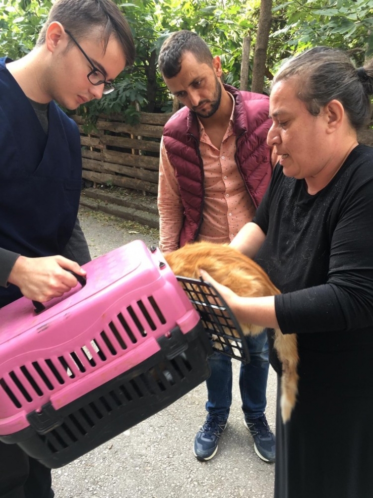 Başkan Demirtaş’tan Sokak Hayvanları İçin Çağrı