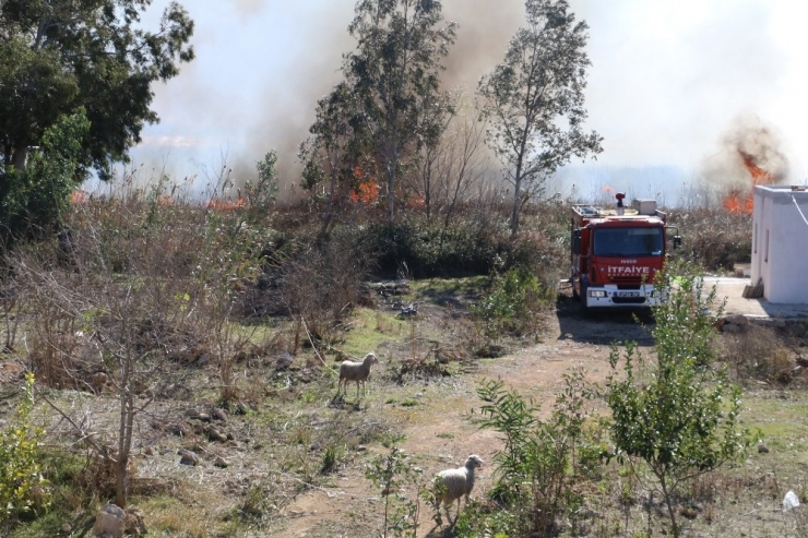 Antalya’da Sazlık Yangınında Bazı Evler Tedbir Amaçlı Tahliye Edildi
